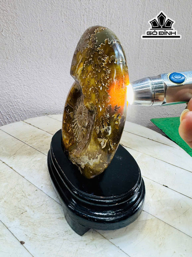 tac-pham-oc-anh-vu-hoa-ngoc-cao-20-ngang-13-cm-1kg-451557