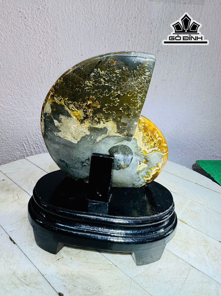 tac-pham-oc-anh-vu-hoa-ngoc-cao-20-ngang-13-cm-1kg-451558