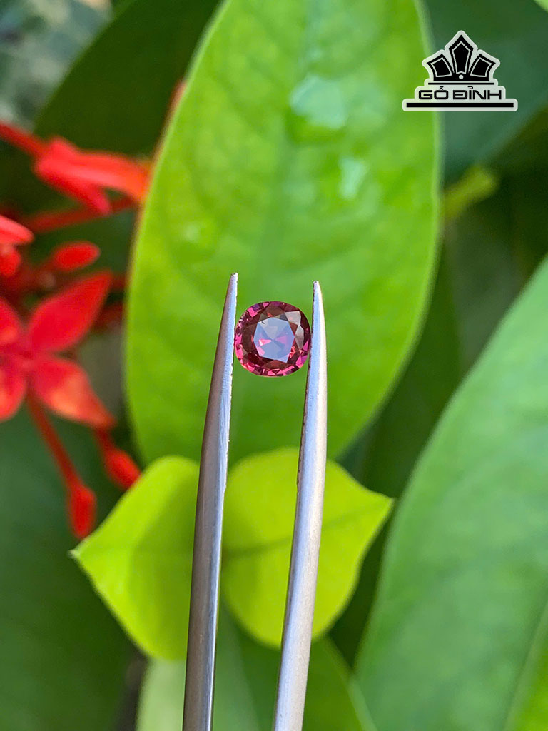 vien-da-garnet-055cts-451694