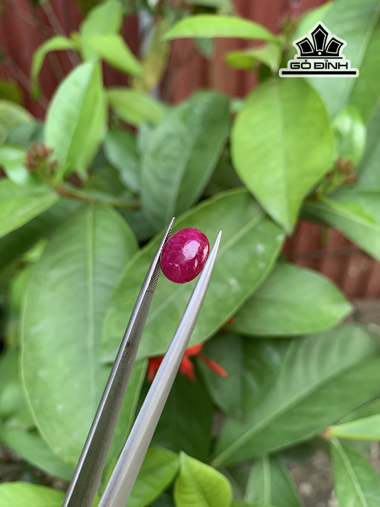 vien-da-ruby-cao-104-ngang-95-sau-4-mm-450cts-451703