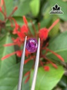 vien-da-sapphire-cao-25-mm-155cts-451719
