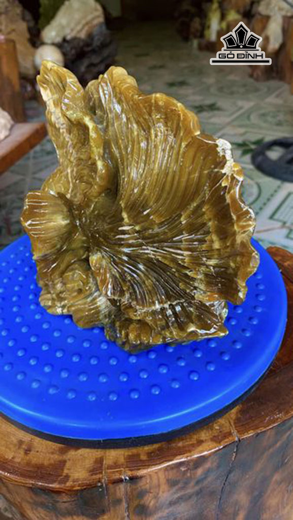 tac-pham-ca-xiem-da-serpentine-cao-17-ngang-23-cm-25kg-451980