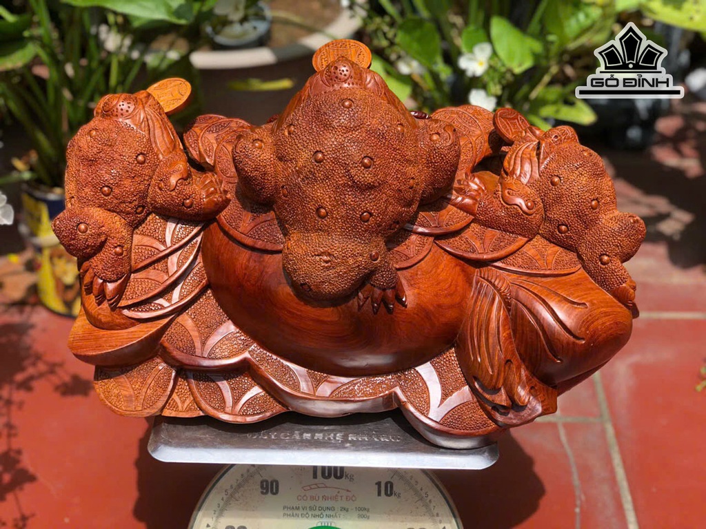 tuong-tam-coc-ngam-tien-go-huong-cao-38-ngang-54-sau-33-cm-452208