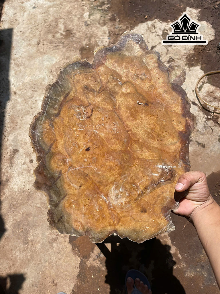 khay-tra-go-nu-xa-xi-cao-40-ngang-65-sau-3-cm-452250