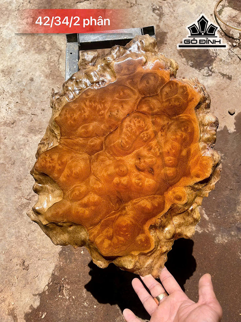 khay-tra-go-nu-xa-xi-cao-42-ngang-34-sau-2-cm-452251