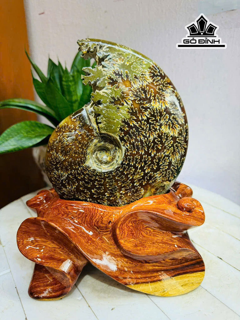 tac-pham-oc-anh-vu-hoa-ngoc-cao-24-ngang-15-cm-22kg-452444