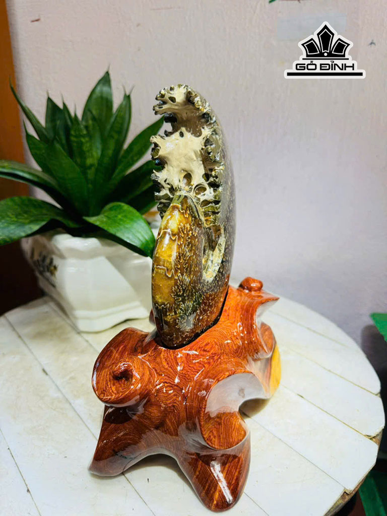 tac-pham-oc-anh-vu-hoa-ngoc-cao-24-ngang-15-cm-22kg-452445