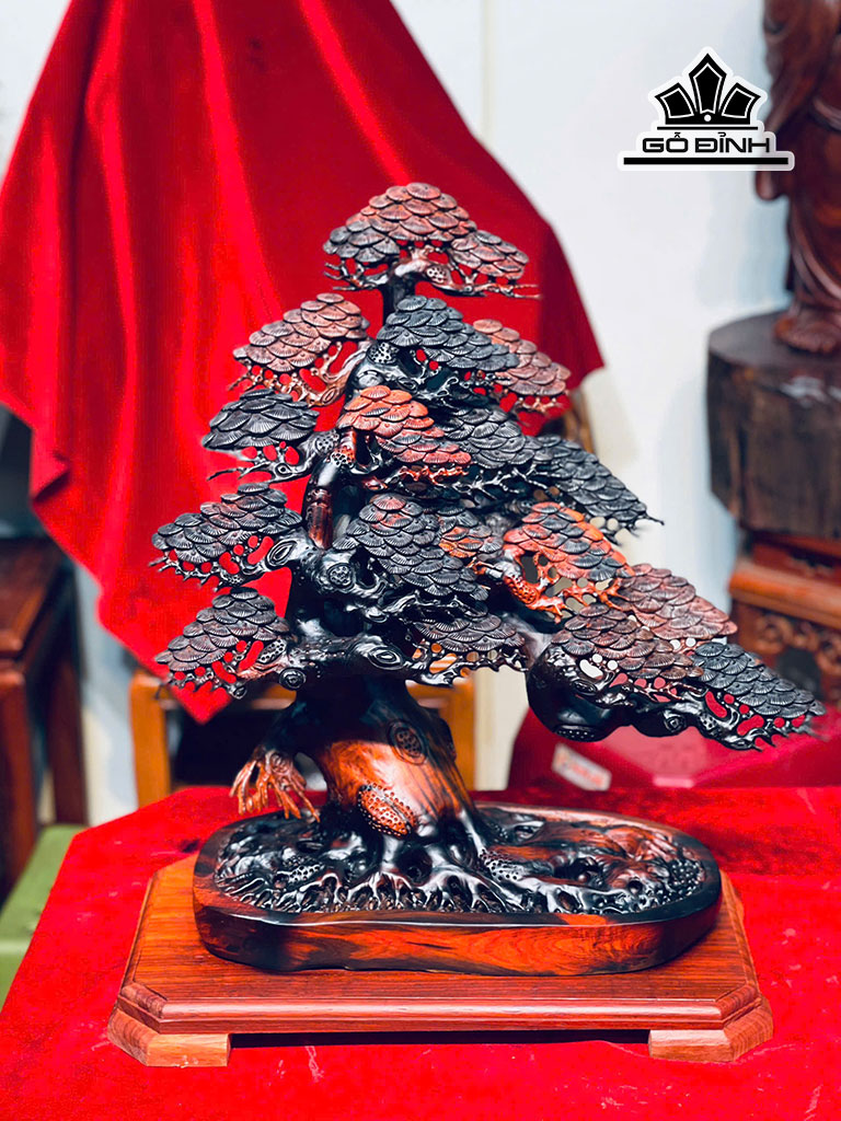 cap-chau-tung-bonsai-go-trac-cao-52-54-ngang-43-sau-24-cm-452552