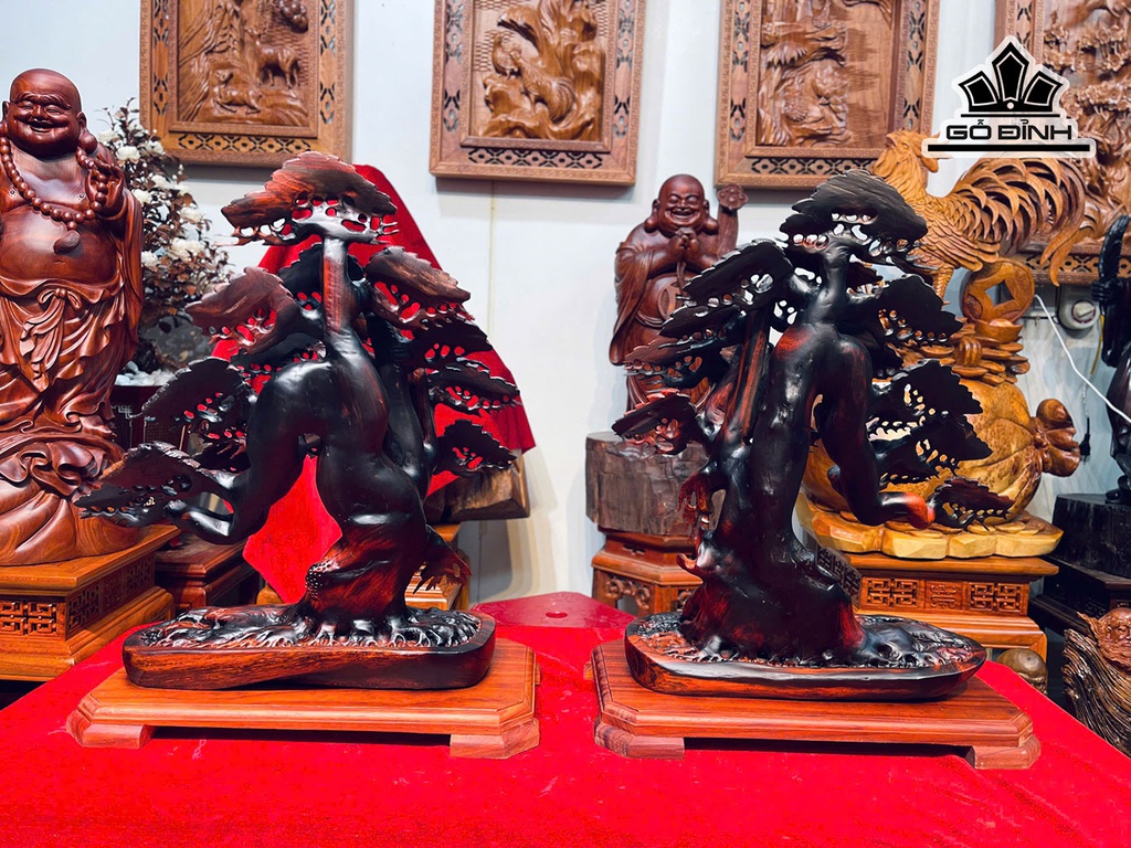 cap-chau-tung-bonsai-go-trac-cao-52-54-ngang-43-sau-24-cm-452553