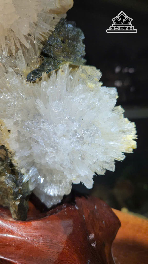 tac-pham-hoa-uu-dam-da-tram-tich-kich-thuoc-30x20-cm-nang-29kg-452812