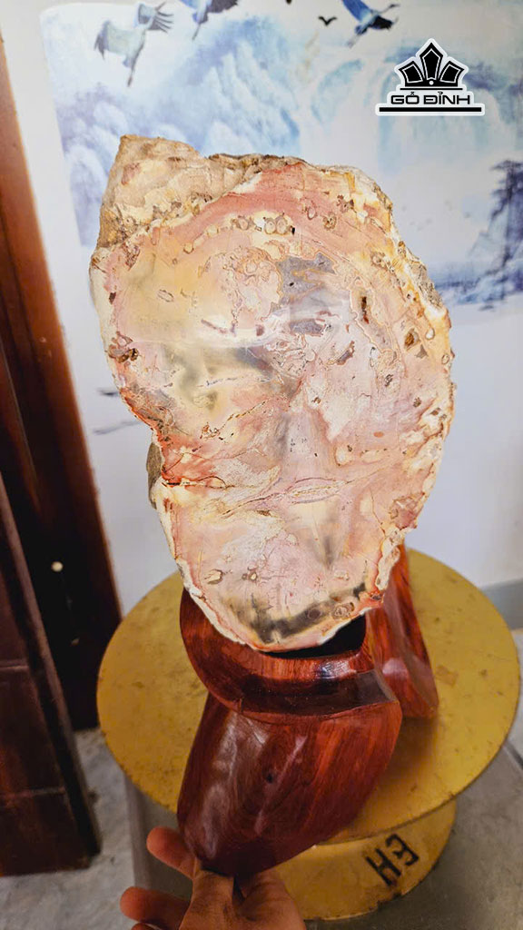 tac-pham-go-hoa-thach-cao-37-ngang-17-cm-11kg-452889