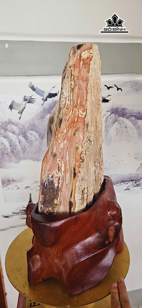 tac-pham-go-hoa-thach-cao-46-ngang-20-cm-12kg-452902