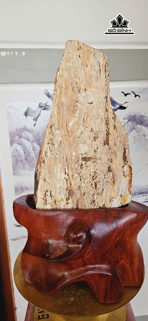 tac-pham-go-hoa-thach-cao-46-ngang-20-cm-12kg-452903