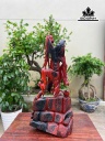tuong-te-cong-go-trac-cao-63-ngang-31-sau-15-cm-453722