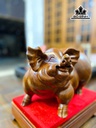 tuong-heo-go-huong-cao-tong-26-ky-cao-7-ngang-30-sau-19-cm-453801