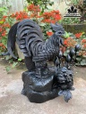 tuong-ga-trong-go-mun-sung-cao-40-ngang-42-sau-27-cm-454307
