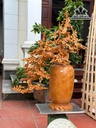 binh-hoa-mai-phu-quy-go-huong-cao-100-ngang-70-sau-48-cm-454390