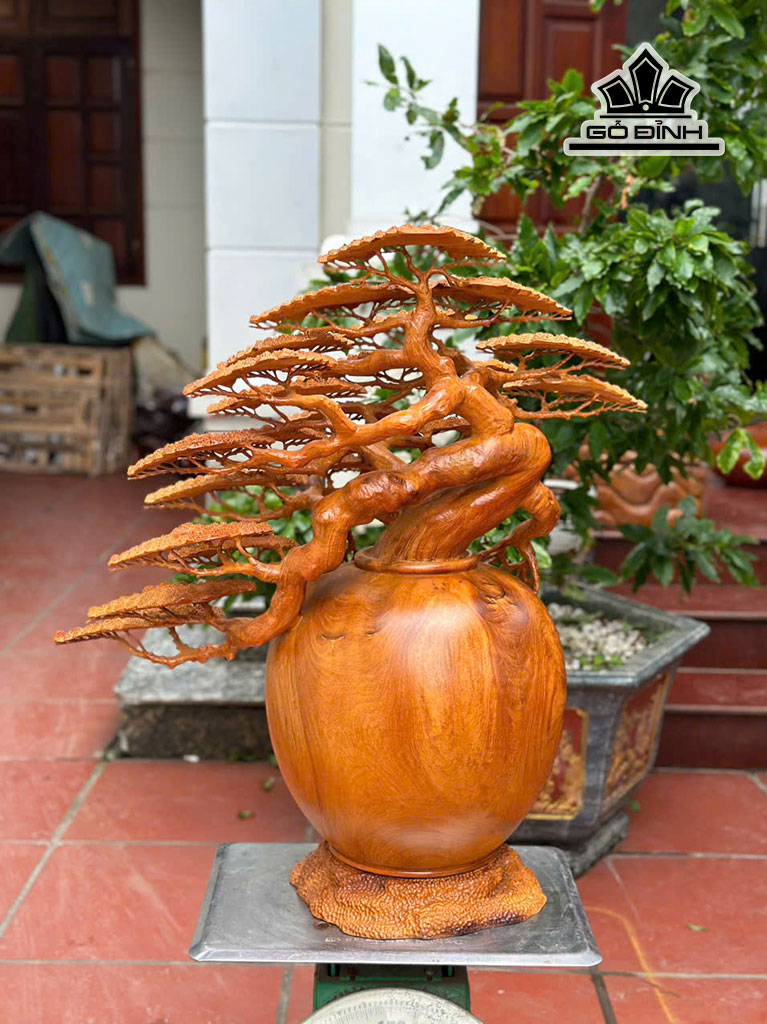 binh-tung-bonsai-go-huong-cao-77-ngang-70-sau-35-cm-454392