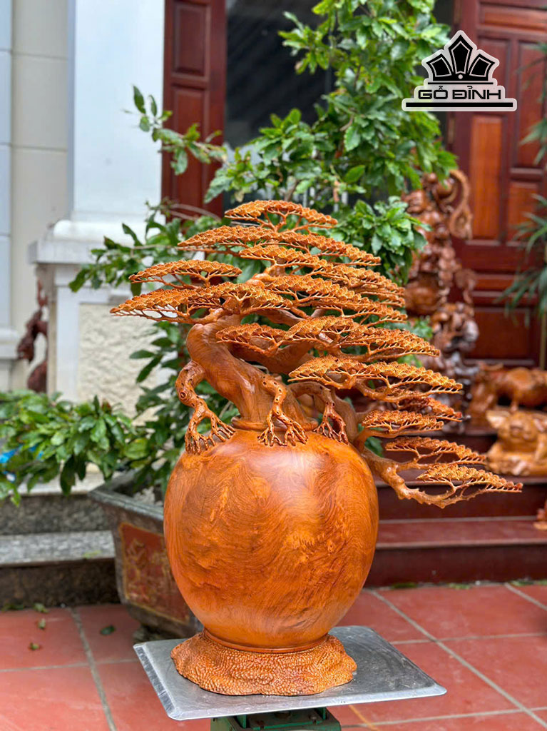 binh-tung-bonsai-go-huong-cao-77-ngang-70-sau-35-cm-454393