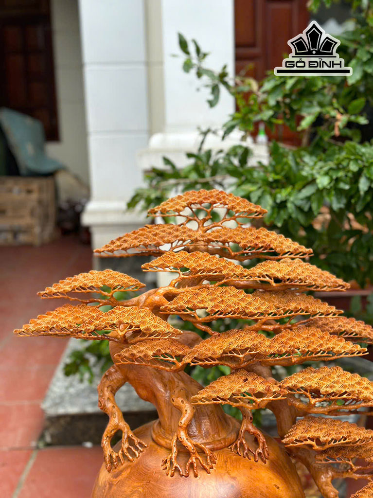 binh-tung-bonsai-go-huong-cao-77-ngang-70-sau-35-cm-454394