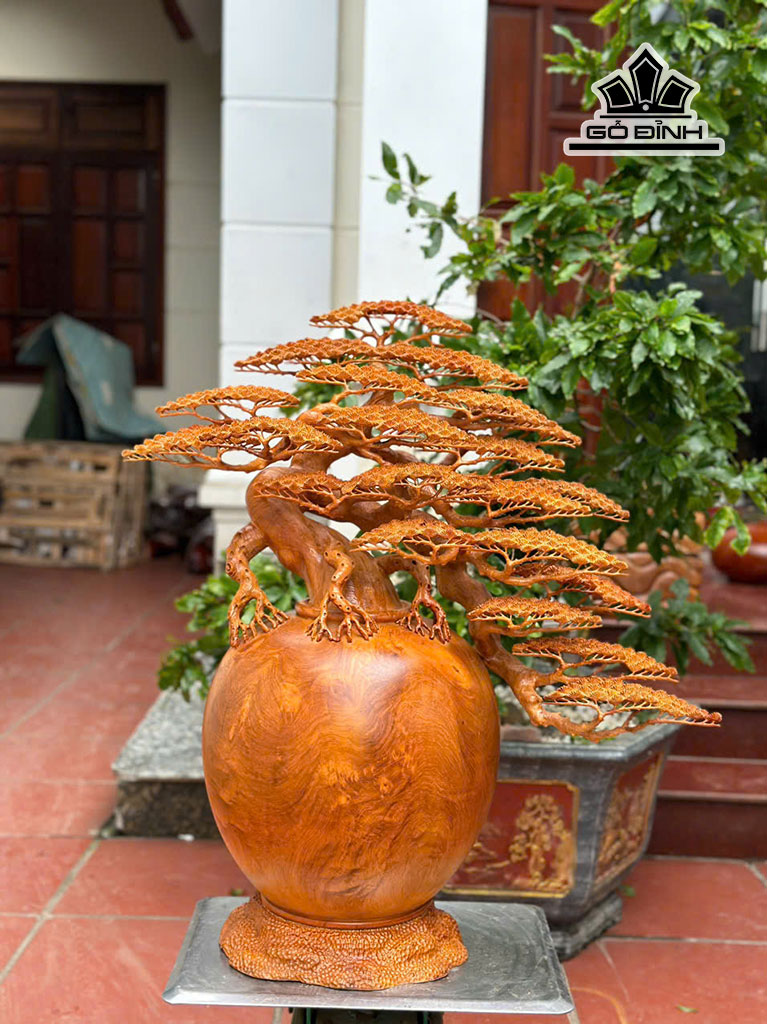 binh-tung-bonsai-go-huong-cao-77-ngang-70-sau-35-cm-454396