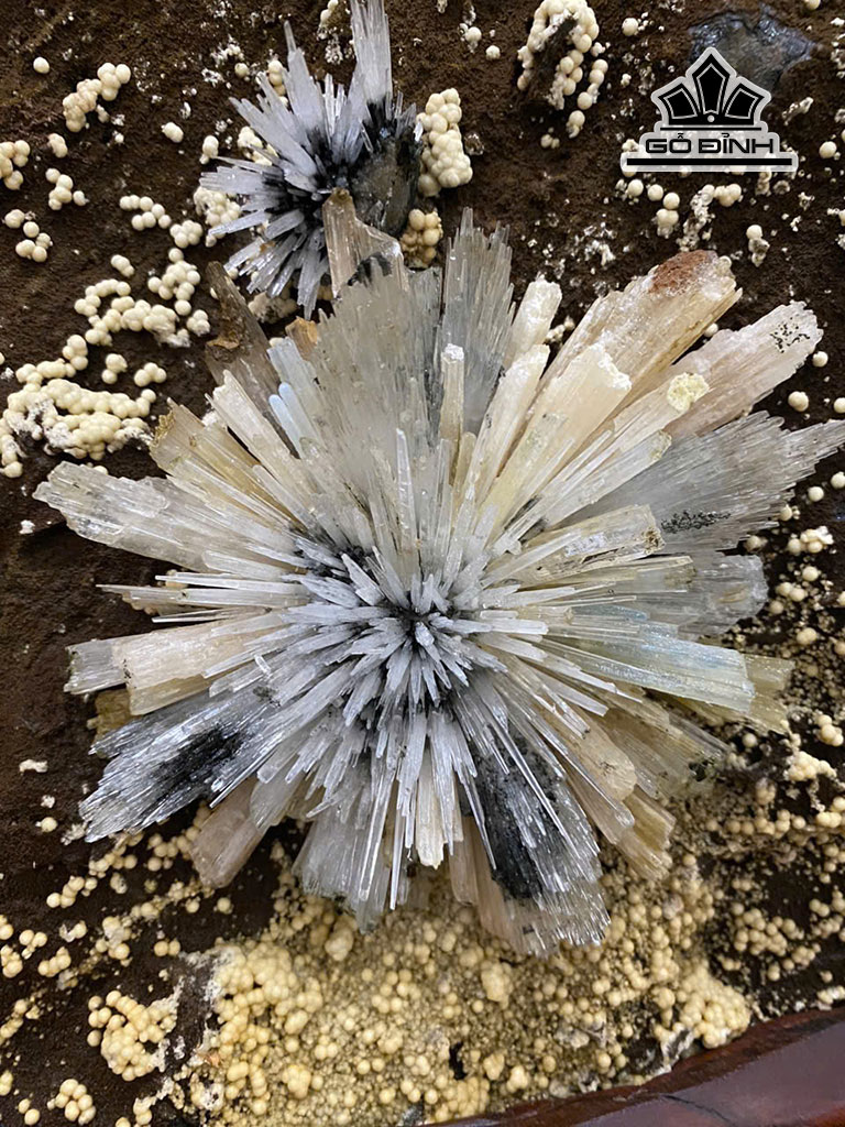 tac-pham-hoa-da-cao-42-cm-nang-162kg-454715