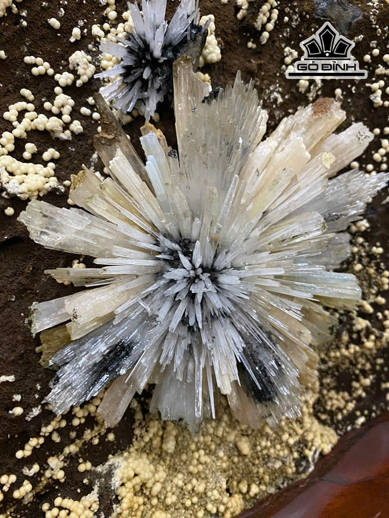 tac-pham-hoa-da-cao-42-cm-nang-162kg-454716