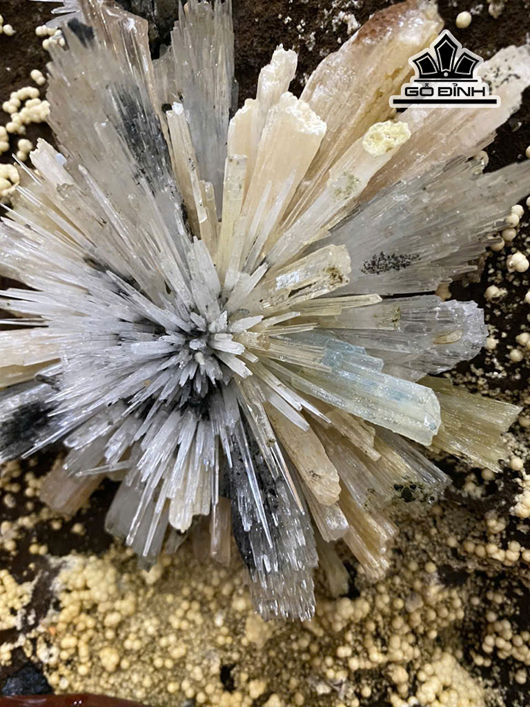 tac-pham-hoa-da-cao-42-cm-nang-162kg-454717