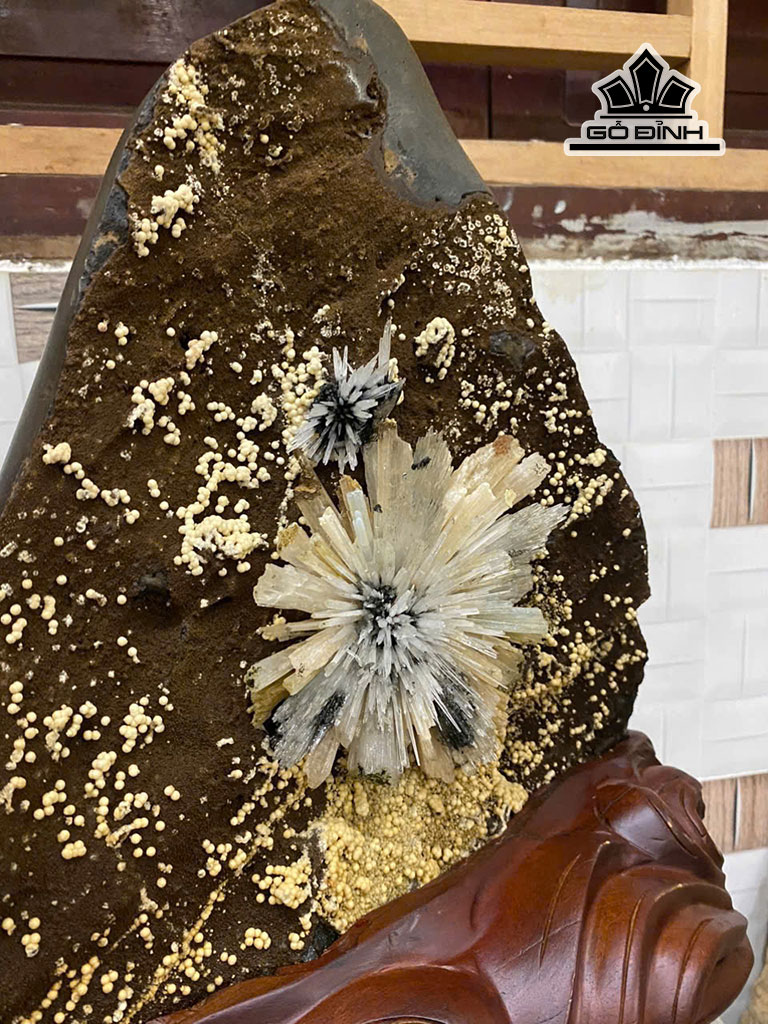 tac-pham-hoa-da-cao-42-cm-nang-162kg-454718