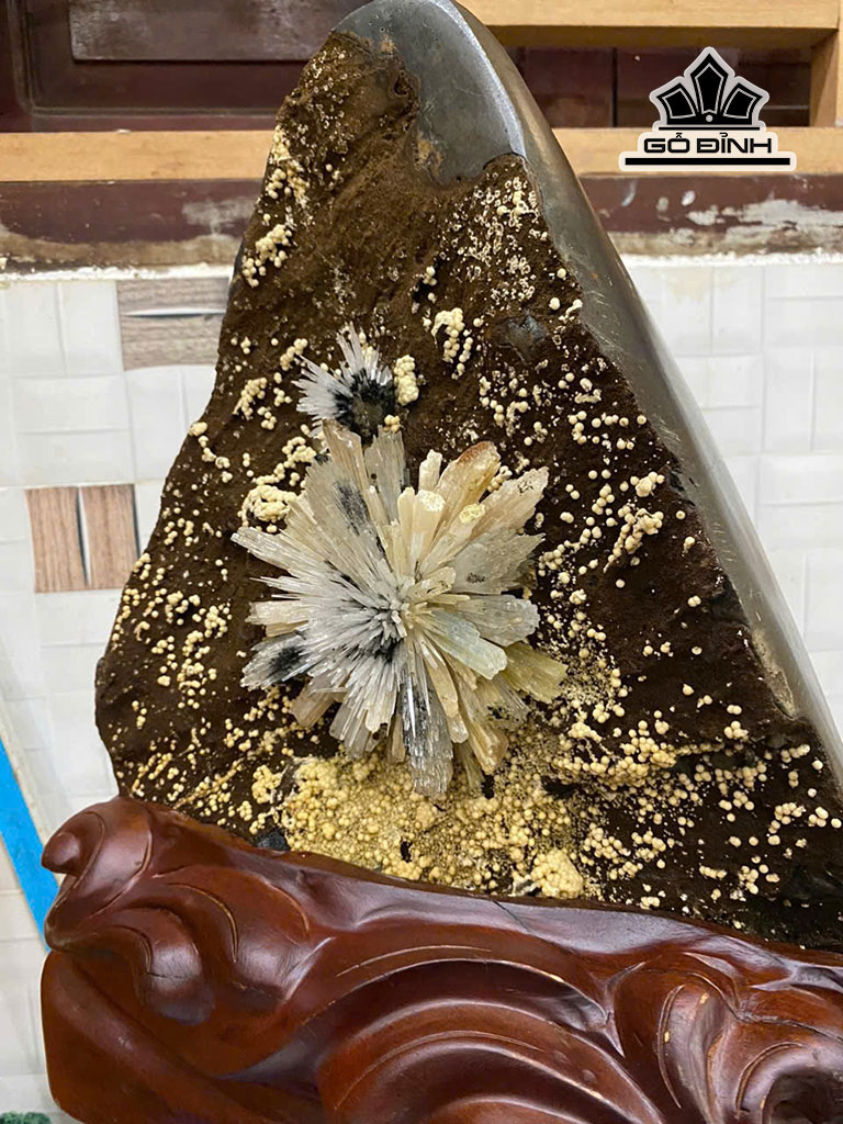 tac-pham-hoa-da-cao-42-cm-nang-162kg-454719