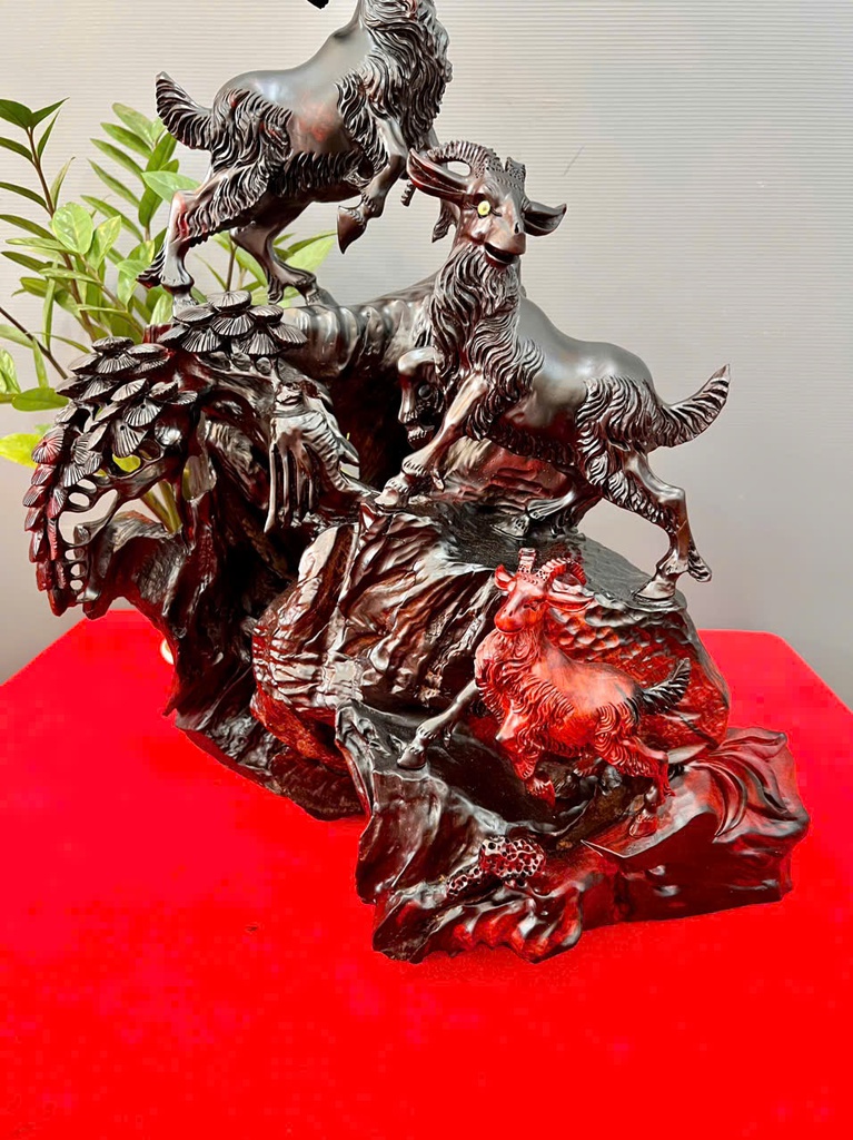 tuong-tam-duong-khai-thai-go-trac-cao-50-ngang-40-sau-22-cm-455254