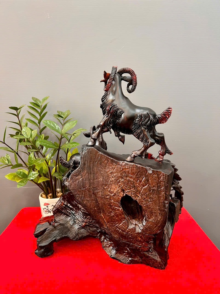 tuong-tam-duong-khai-thai-go-trac-cao-50-ngang-40-sau-22-cm-455255
