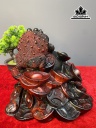 tuong-tam-coc-ngam-tien-go-trac-cao-22-ngang-26-sau-26-cm-455638