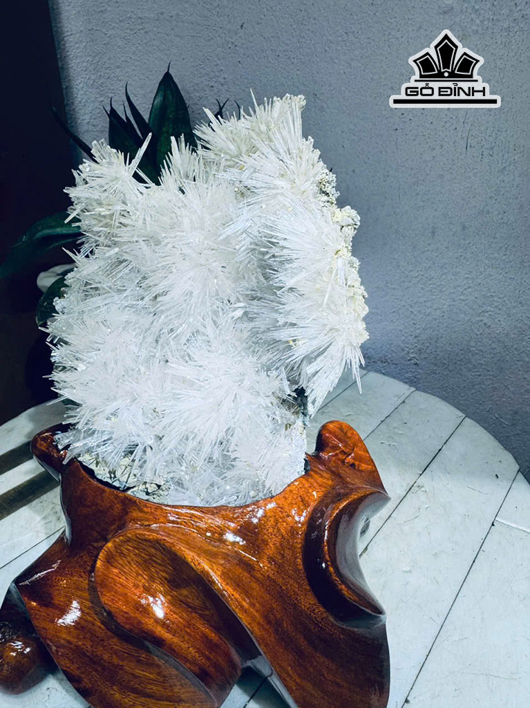 tac-pham-hoa-uu-dam-da-tram-tich-cao-24-ngang-15-cm-14kg-455911