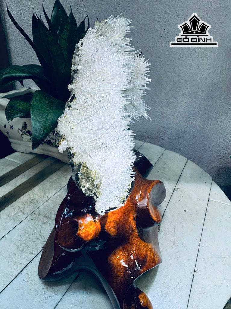 tac-pham-hoa-uu-dam-da-tram-tich-cao-24-ngang-15-cm-14kg-455912