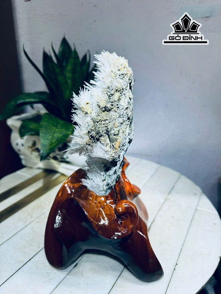 tac-pham-hoa-uu-dam-da-tram-tich-cao-24-ngang-15-cm-14kg-455915