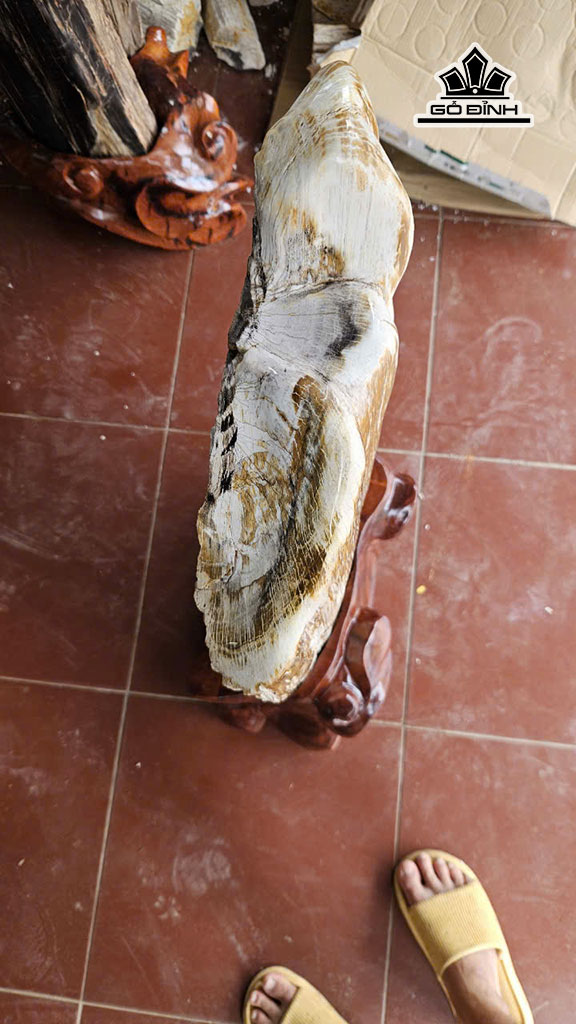 tac-pham-go-hoa-thach-cao-81-ngang-28-cm-nang-32kg-455926