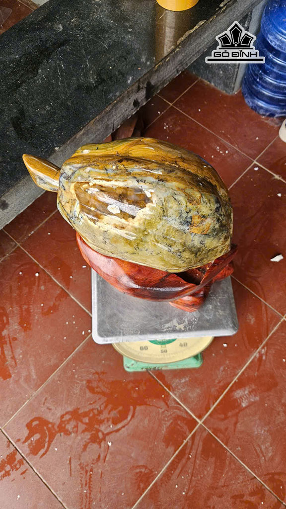 trai-du-du-da-ma-nao-cao-40-ngang-35-cm-18kg-455940