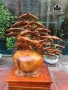 binh-tung-bonsai-go-nu-huong-cao-70-rong-78-duong-kinh-than-binh-35-cm-456098