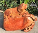tuong-cho-go-huong-cao-40-ngang-46-sau-20-cm-456292