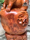 tuong-cho-go-huong-cao-54-ngang-34-sau-30-cm-16kg-456298