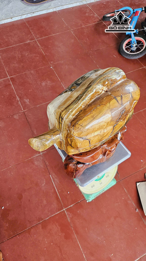 tac-pham-da-ma-nao-cao-50-ngang-40-cm-37kg-457235