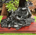 tuong-tam-duong-khai-thai-go-mun-sung-cao-ca-ky-65-rieng-ky-10-ngang-60-sau-35-cm-457671