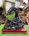 tuong-tam-duong-khai-thai-go-mun-sung-cao-ca-ky-65-rieng-ky-10-ngang-60-sau-35-cm-457673
