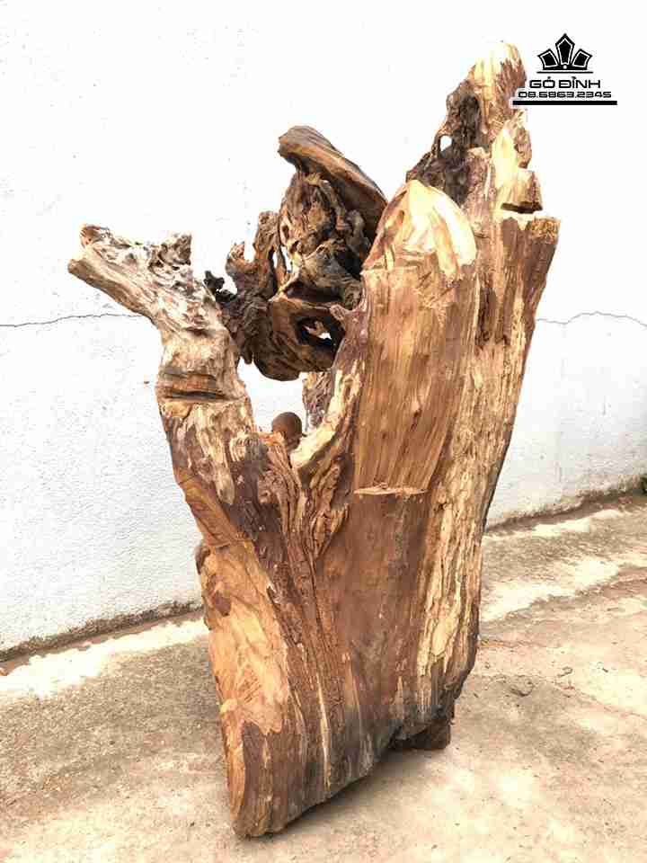 gia-Tuong-Dat-Ma-Thien-go-lua-bach-xanh