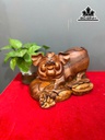tuong-heo-go-cam-cao-20-ngang-34-sau-19-cm-460970