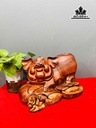 tuong-heo-go-cam-cao-20-ngang-34-sau-19-cm-460971