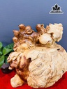 tuong-phat-di-lac-go-nu-huong-cao-38-ngang-32-sau-21-cm-461001