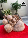 tuong-phat-di-lac-nhat-phuc-go-nu-ngoc-am-cao-22-ngang-41-sau-22-cm-461070