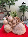 tuong-phat-di-lac-nhat-phuc-go-nu-ngoc-am-cao-22-ngang-41-sau-22-cm-461071
